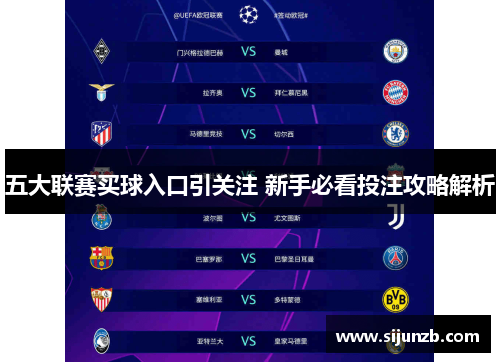 五大联赛买球入口引关注 新手必看投注攻略解析